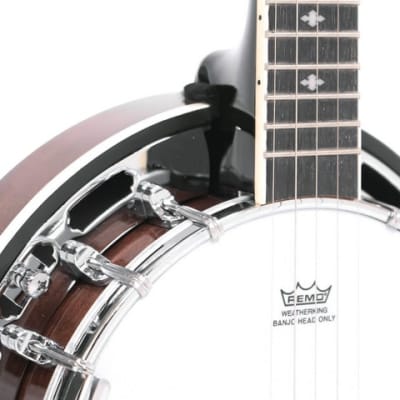 Gold Tone BG-Mini Short Scale 8" Mini Bluegrass 5-String Banjo  w/Case, New, Free Shipping, Authorized Dealer, Demo Video! image 16