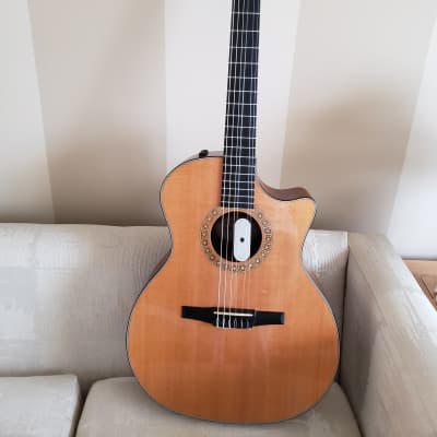 Taylor NS34-ce 2010 - Gloss for sale