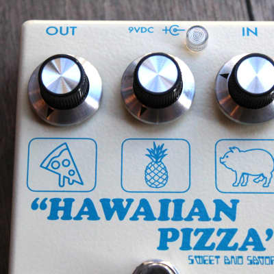 CAROLINE  "Hawaiian Pizza Fuzz" image 2