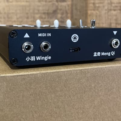 Meng Qi Wingie 2 Stereo Resonator | Reverb