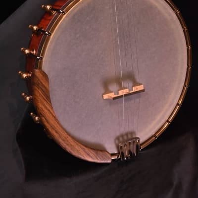 Ome Otis Taylor Open back 5 String banjo image 2