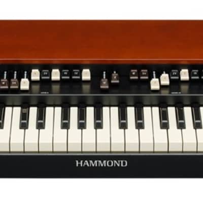 Hammond XK-5 Organ Dual Manual STAGE ESSENTIALS BUNDLE image 3