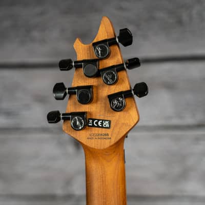 EVH Wolfgang WG Standard - Gold Sparkle image 8