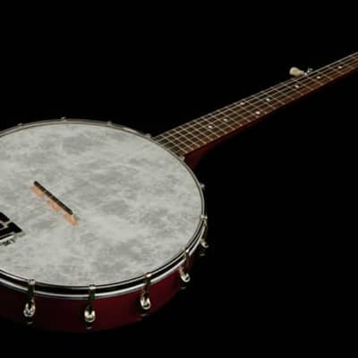 Recording King RKOH-05 | Dirty 30s Open Back Banjo. Brand New! image 15