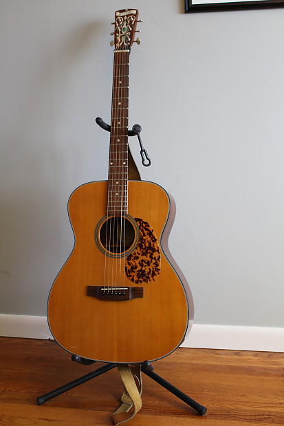 Blueridge BR 143