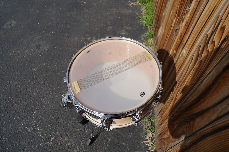 DW Collector's Series Maple 5.5x14