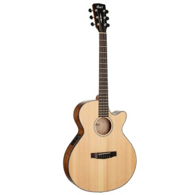 Cort AS-E4 Acoustic | DIY Fever