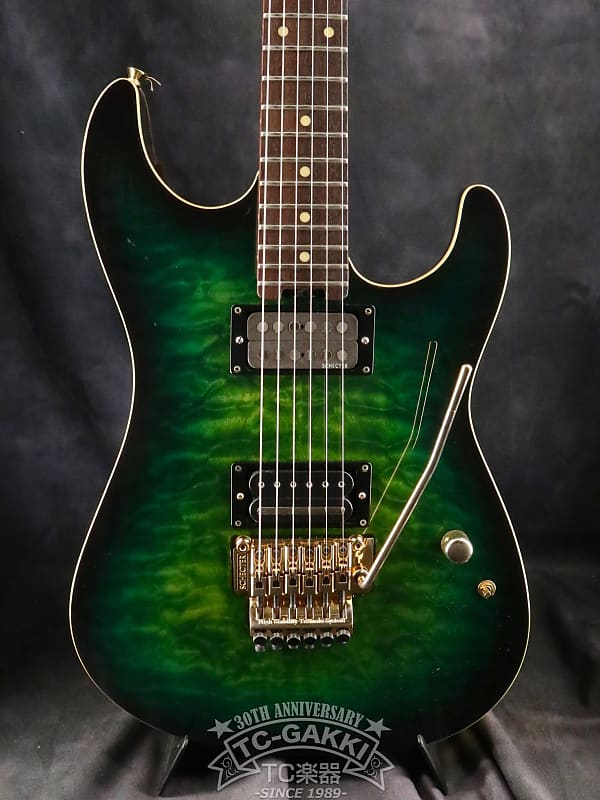 SCHECTER 2013 PA-SX FaLiLV SXUN Model