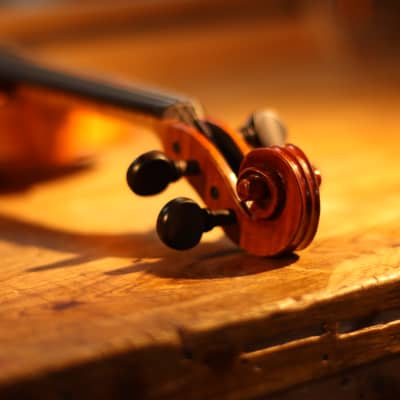 Haddon Brown Violin 4/4 - Sleeping Beauty Stradivari Model image 15