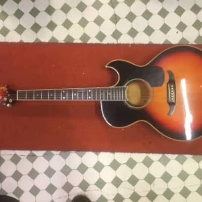 Fender El rio 1985 image 1
