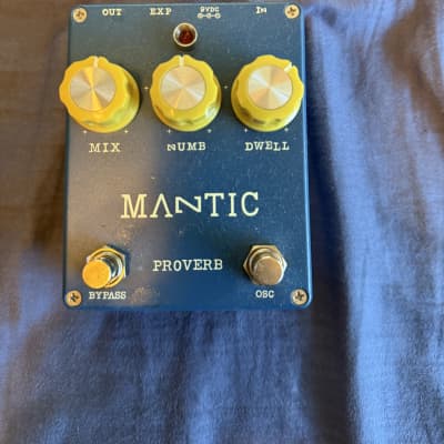 Reverb.com listing, price, conditions, and images for mantic-proverb