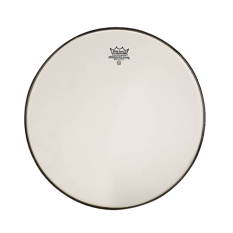 Remo Ambassador Renaissance 14", Snare Reso Snare Drum Reverb