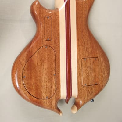 Alembic Darling Coco Bolo./LEDS/ Wood neck binding and more image 4