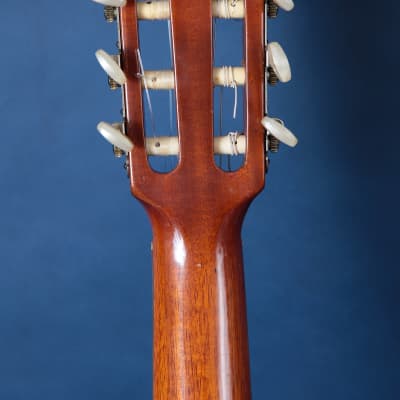 Giannini Craviola AWKNS6 / Nylon String and Bossa Ready! image 7