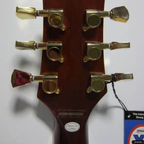 Jay Turser LP Style  Electric Guitar JT-220D  Tiger Eye Finish  , Humbuckers image 7