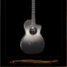 RainSong Concert Hybrid CH-PA1100NSG Pure Acoustic 12-Fret Parlor Guitar