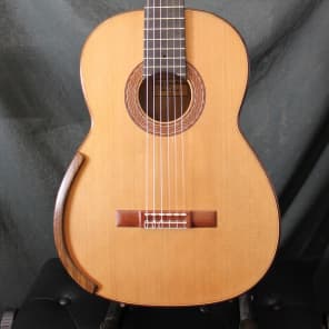 Greg smallman guitar deals cost
