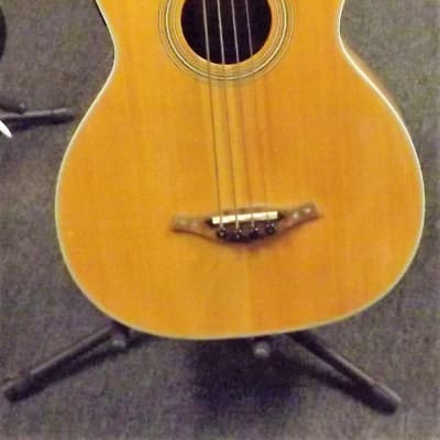 Hohner  Acoustic Electric Bass image 1