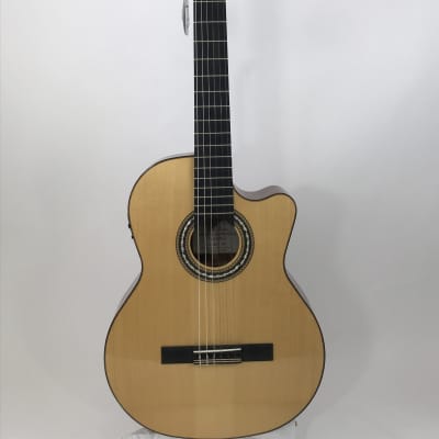 Orpheus Valley FG65CWS Fandango Acoustic-Electric Classical for sale