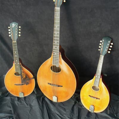 1916 Gibson 'A' Model Mandolin: Featherweight, All Carved Body, Varnish Finish, Bright Clear Voice, Gleaming Condition image 12