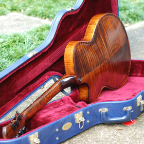Victor Baker Custom Model 16 2013 Cello Brown image 14