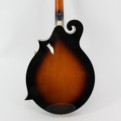 Denver Concert Mandolin 2000s - Tobacco Burst image 4