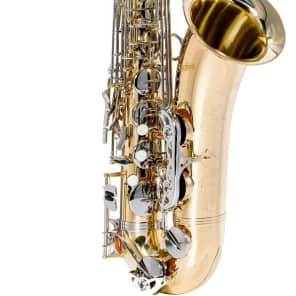 Giardinelli GTS-300 Intermediate Tenor Saxophone