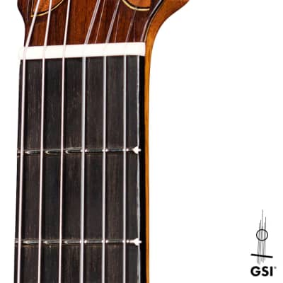 Paula Lazzarini 2022 Classical Guitar Cedar/Indian Rosewood image 10