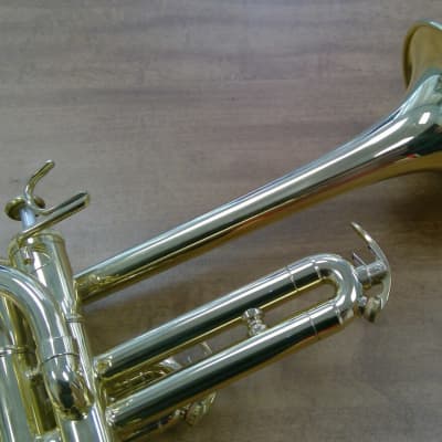 ACB Piccolo Bundle! Doubler's Piccolo, ACB Mouthpiece, Bremner Practice Mute, and Blowdry Brass! image 1