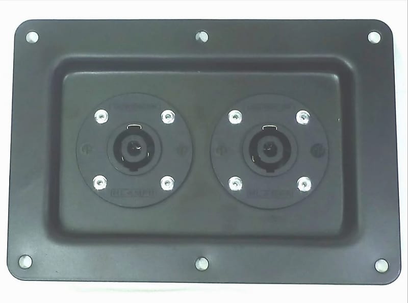 LASE One Large Metal Speaker Jack Plate w/ 2 Genuine Neutrik Reverb