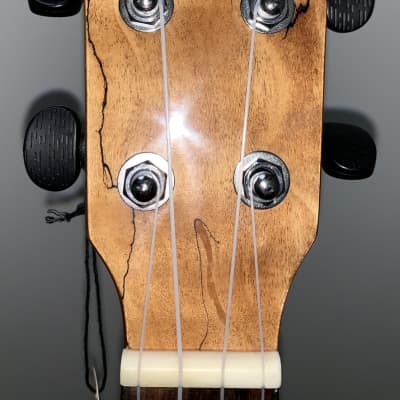 R.Empire 'The Spalted Bird' Concert Ukulele - spalted maple image 4