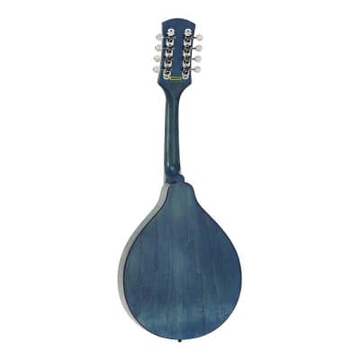 Ozark Mandolin A Model - Blue image 3
