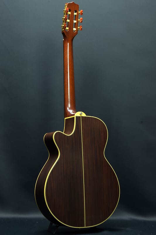 FROM JAPAN　Takamine NPT_110N Takamine NPT-110N 1990s Nylon Acoustic Guitar - w/ Case | Reverb