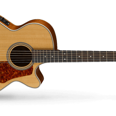 Cort L100FNS Luce Series Solid Spruce Top Fishman Isys 6-String Acoustic-Electric Guitar - Natural image 3