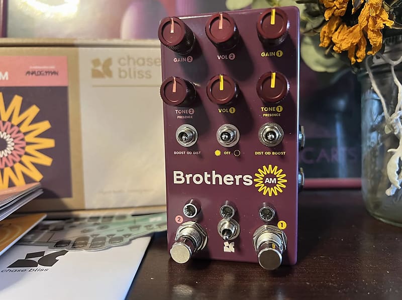 Chase Bliss Audio Brothers AM