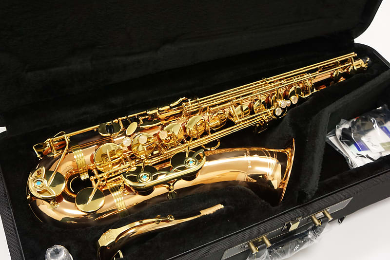 Free shipping! 【Special price】 Yanagisawa T-WO2(TWO2) Bronze Tenor Saxophone image 1
