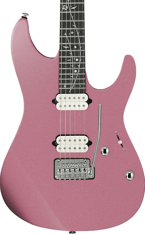 TOD10 | TOD | ELECTRIC GUITARS | PRODUCTS | Ibanez guitars