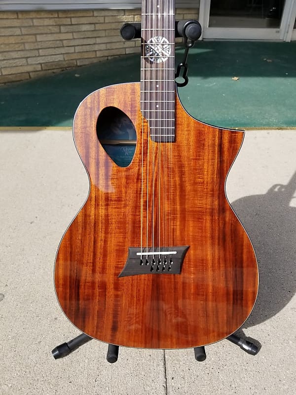 Michael kelly deals 10 string guitar