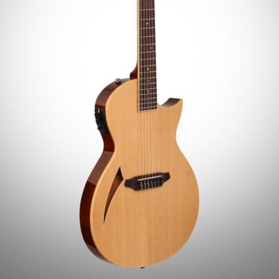 ESP LTD TL-6N Thinline-6 Nylon Classical Acoustic-Electric Guitar, Natural image 4