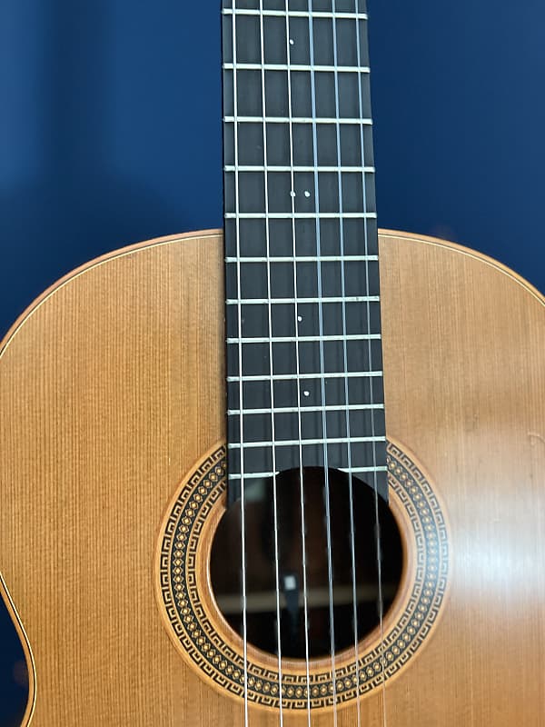 1991 Lowden Classical 10 String Guitar! Rare Prototype! | Reverb