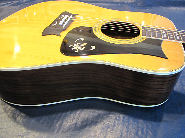 Ibanez store artist 2603
