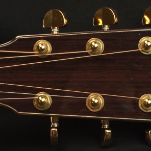 Eastman AC520CE Rare Acoustic Guitar 11035185 - Demo image 2