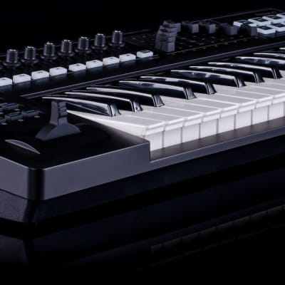 Roland A-300PRO 32-Key MIDI Keyboard Controller (USED) | Reverb