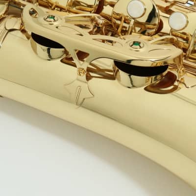 Unison Tenor Gl 6003 Tenor Saxophone- Free Shipping* | Reverb