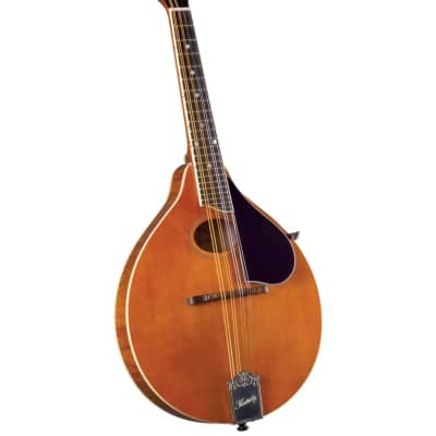 Kentucky KM-272 Deluxe Oval Hole A-Model Mandolin WITH Matching Deluxe Gig Bag– Transparent Amber for sale