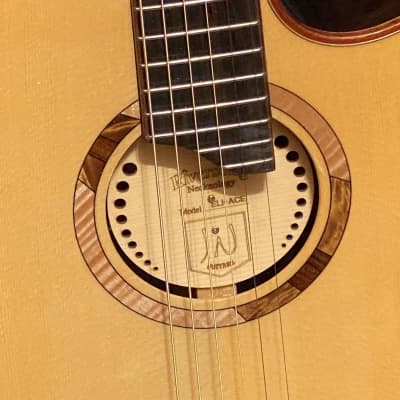 James Neligan ELI-ACE Elijah Series Auditorium Cutaway Acoustic-Electric Guitar image 6