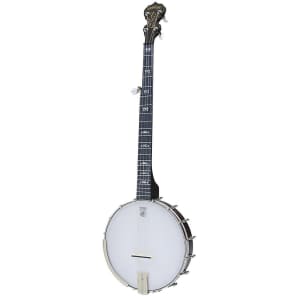 Deering Artisan Goodtime Openback 5-String Banjo