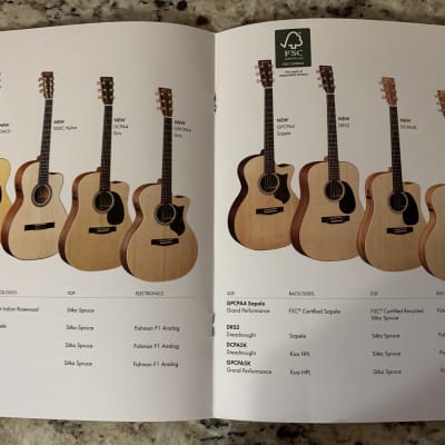 Martin Limited Edition & New Models Catalog  2012 D-100 D-18 DRS-2 image 5