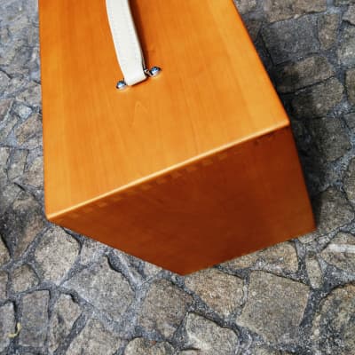 daRibeira custom hand-built guitar 112 cabinet solid wood w/ Celestion Creamback speaker (Pre-Order) image 5