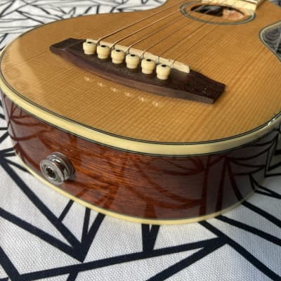 Segovia / TF-10 GN ” Tarvel Guitar “ image 5